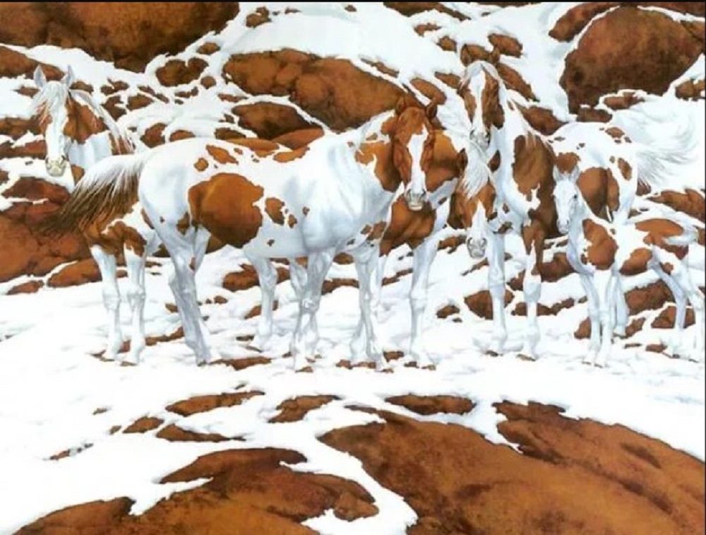 aloga.jpg Άλογα