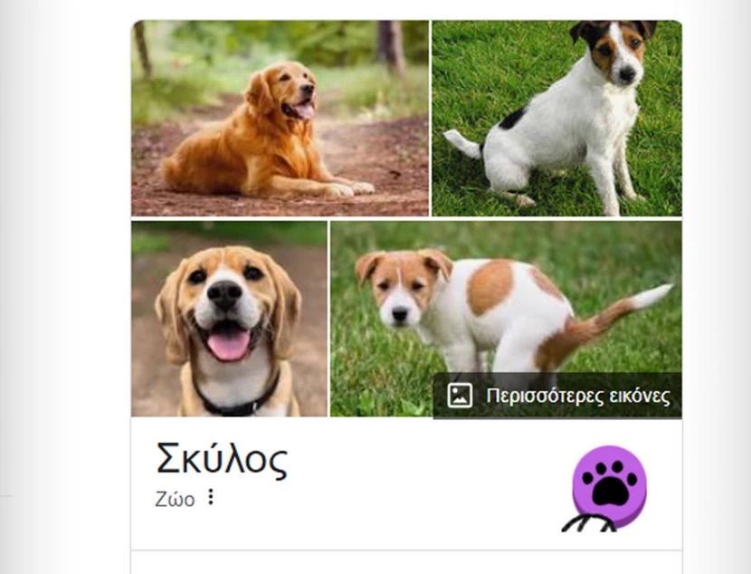 dog-4.jpg Σκύλος-google