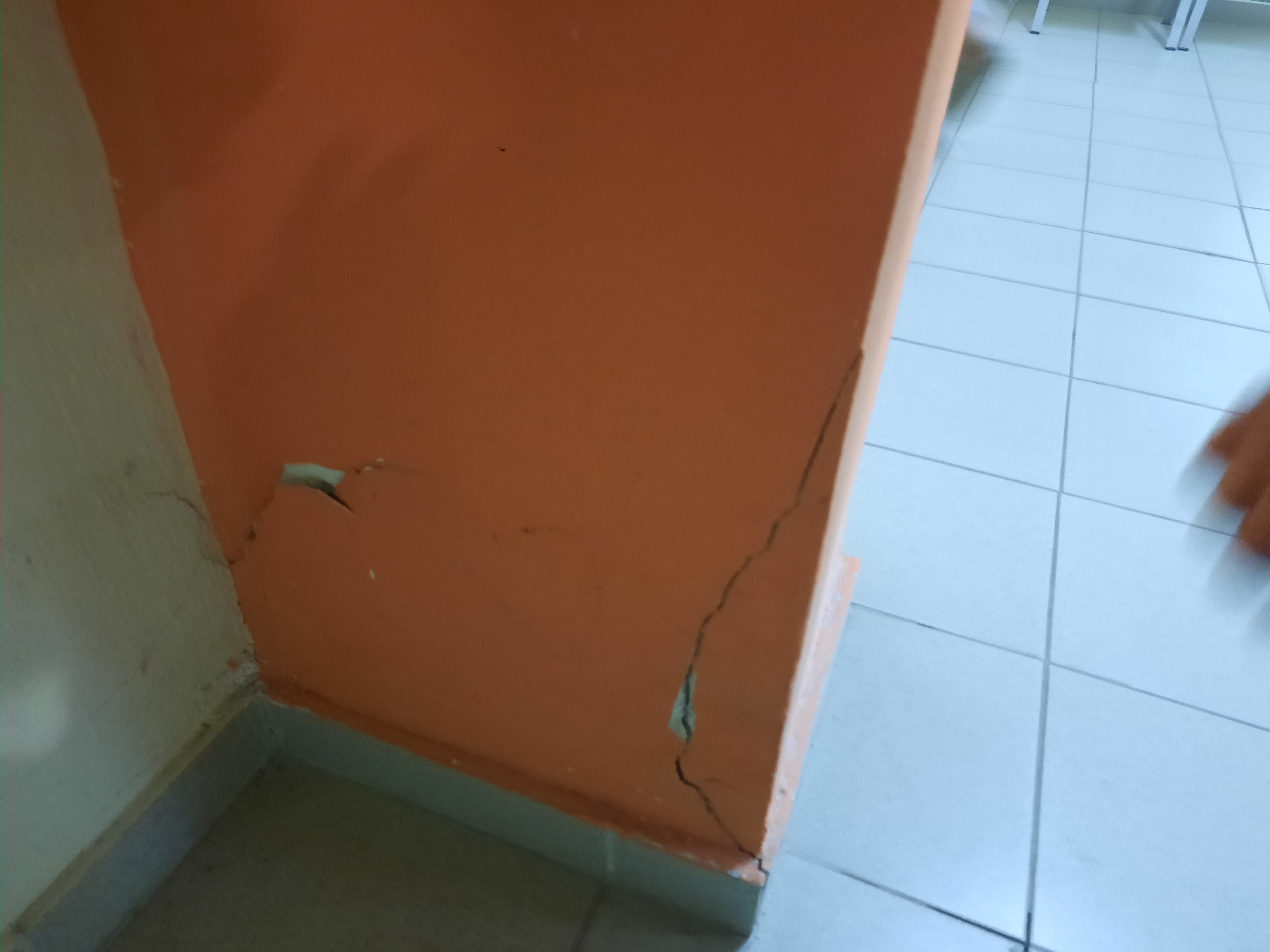 20231101_104630.jpg 4ο κορυδαλλου