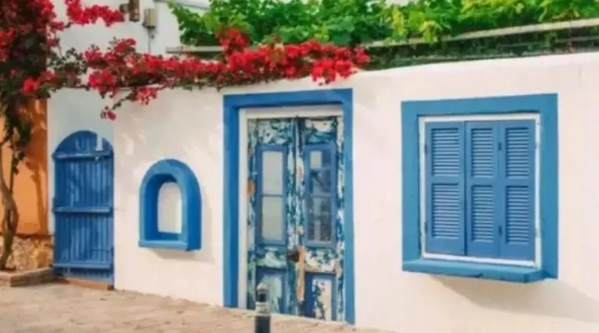 ofthh-nisi.jpg Οφθαλμαπάτη με γάτα σε νησί