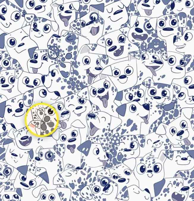 optical-illusion-pictures-with-answer.jpg Λύση στην οφθαλμαπάτη με σκύλους