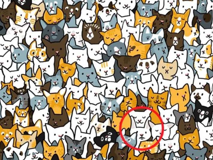 optical-illusion-rabbit-lysi.jpg optical-illusion-rabbit-lysi
