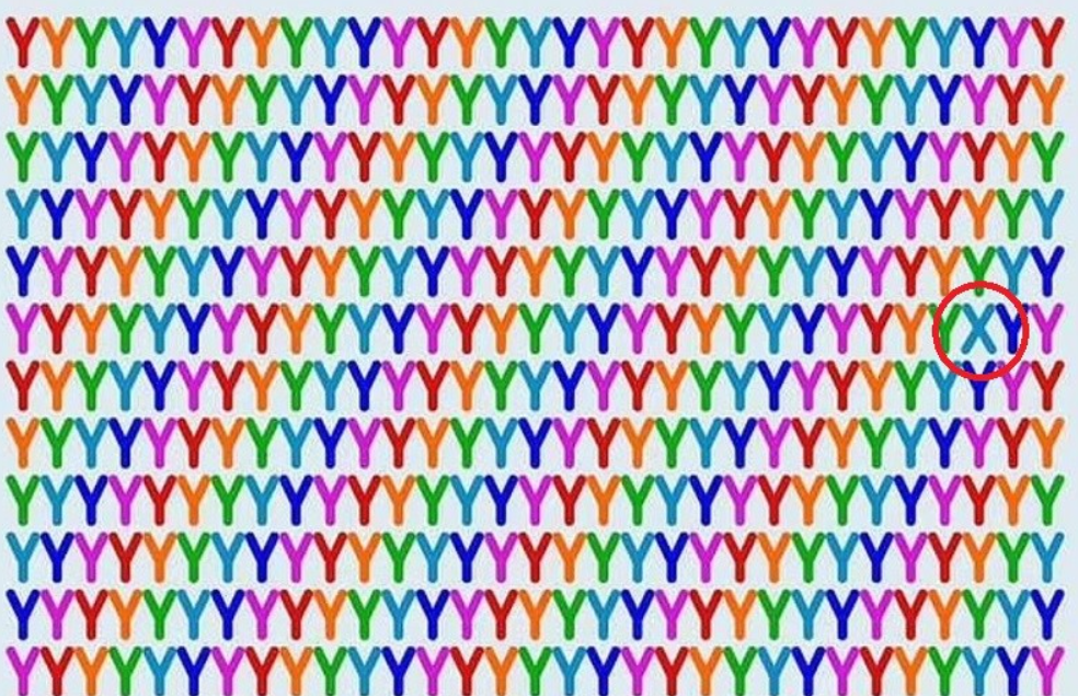 grifos.png grifos