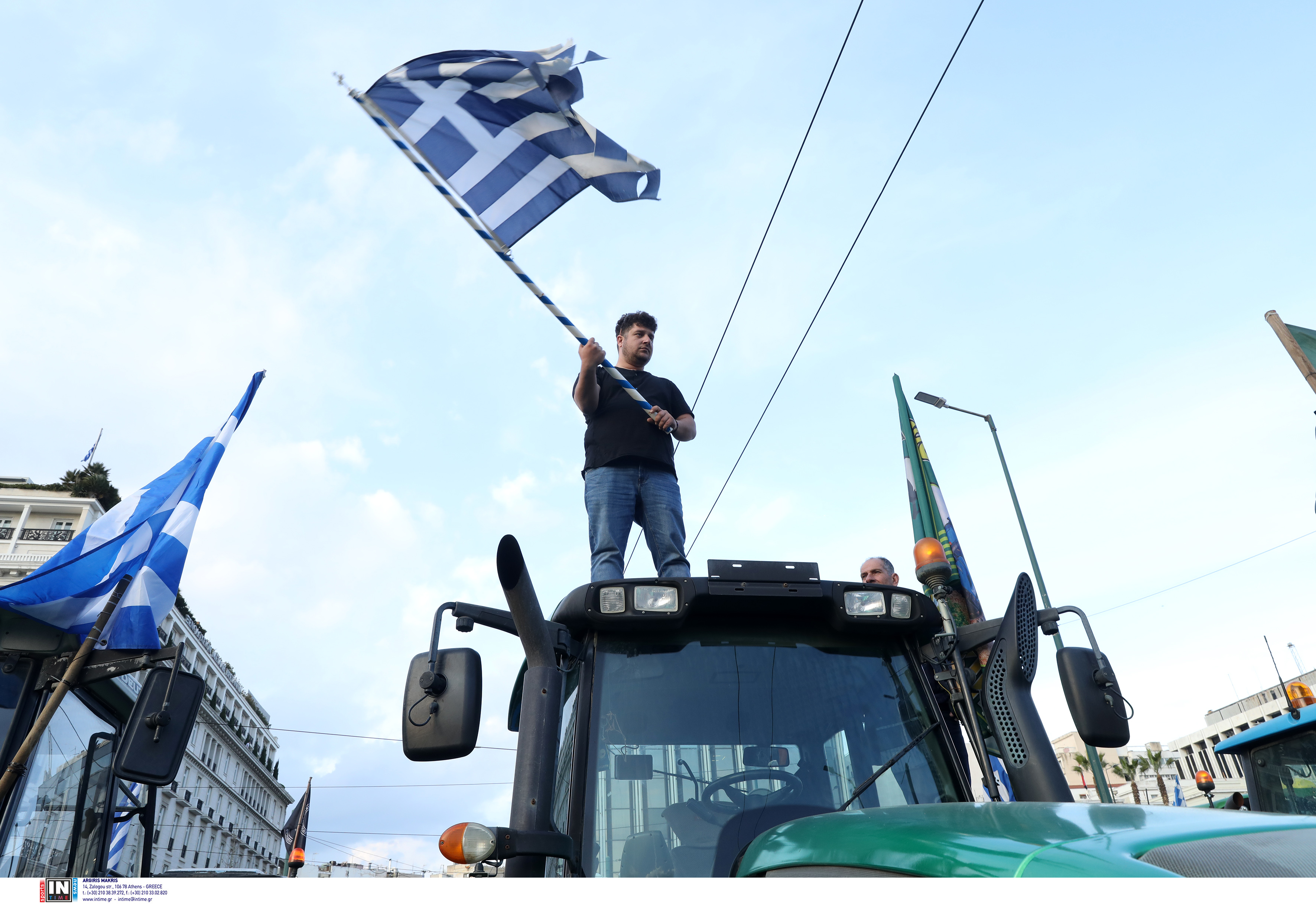 agrotes_7.jpg agrotes_7