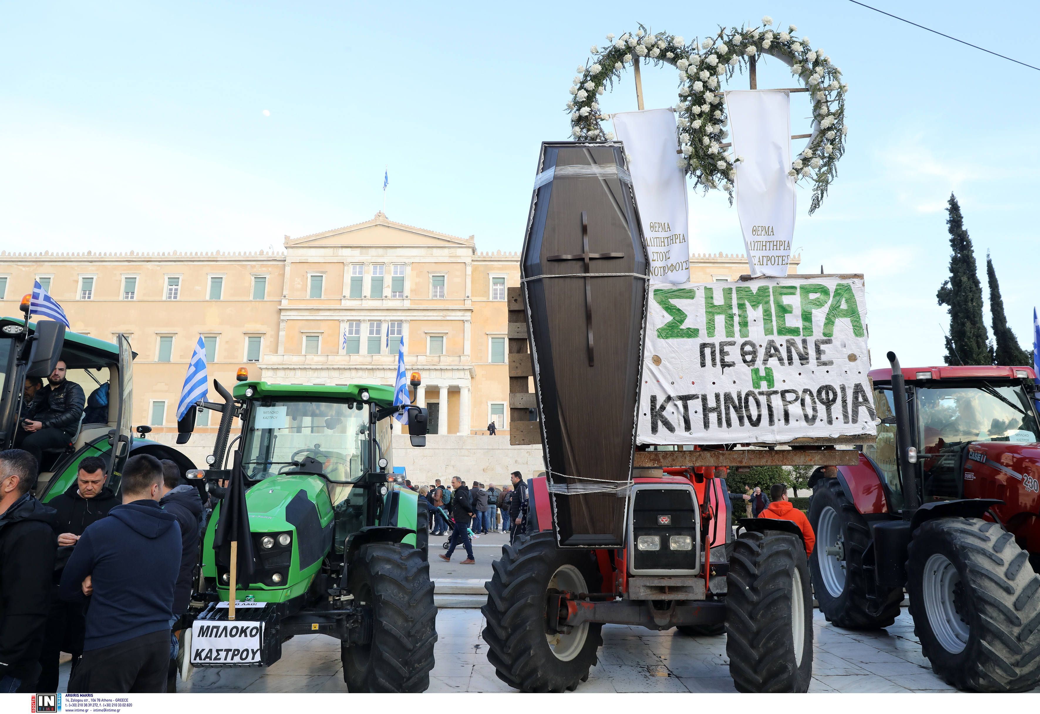 agrotes_8.jpg agrotes_8
