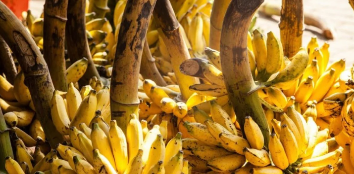 bananes.png μπανάνες