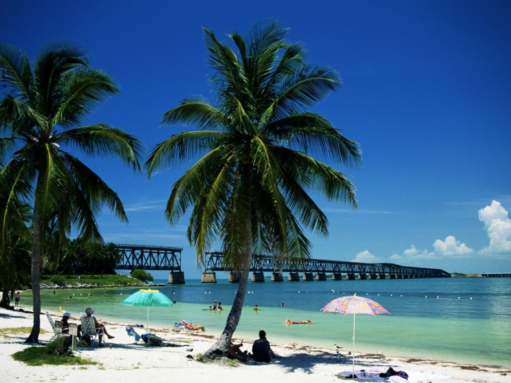 florida.png florida