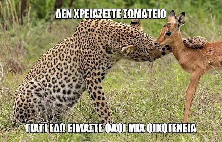 den_hreiazetai_somateio.jpg den_hreiazetai_somateio