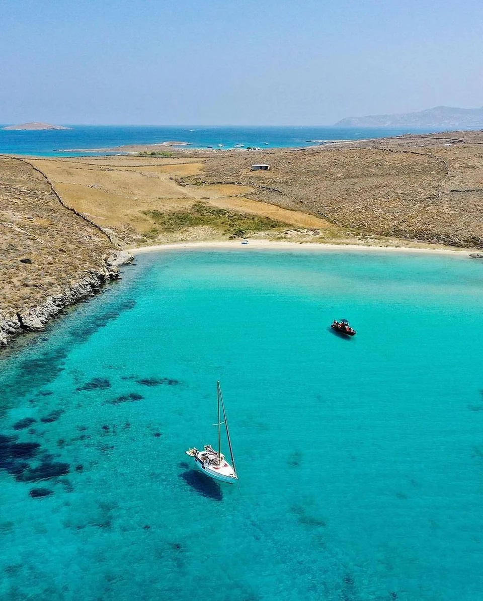 Ρήνεια