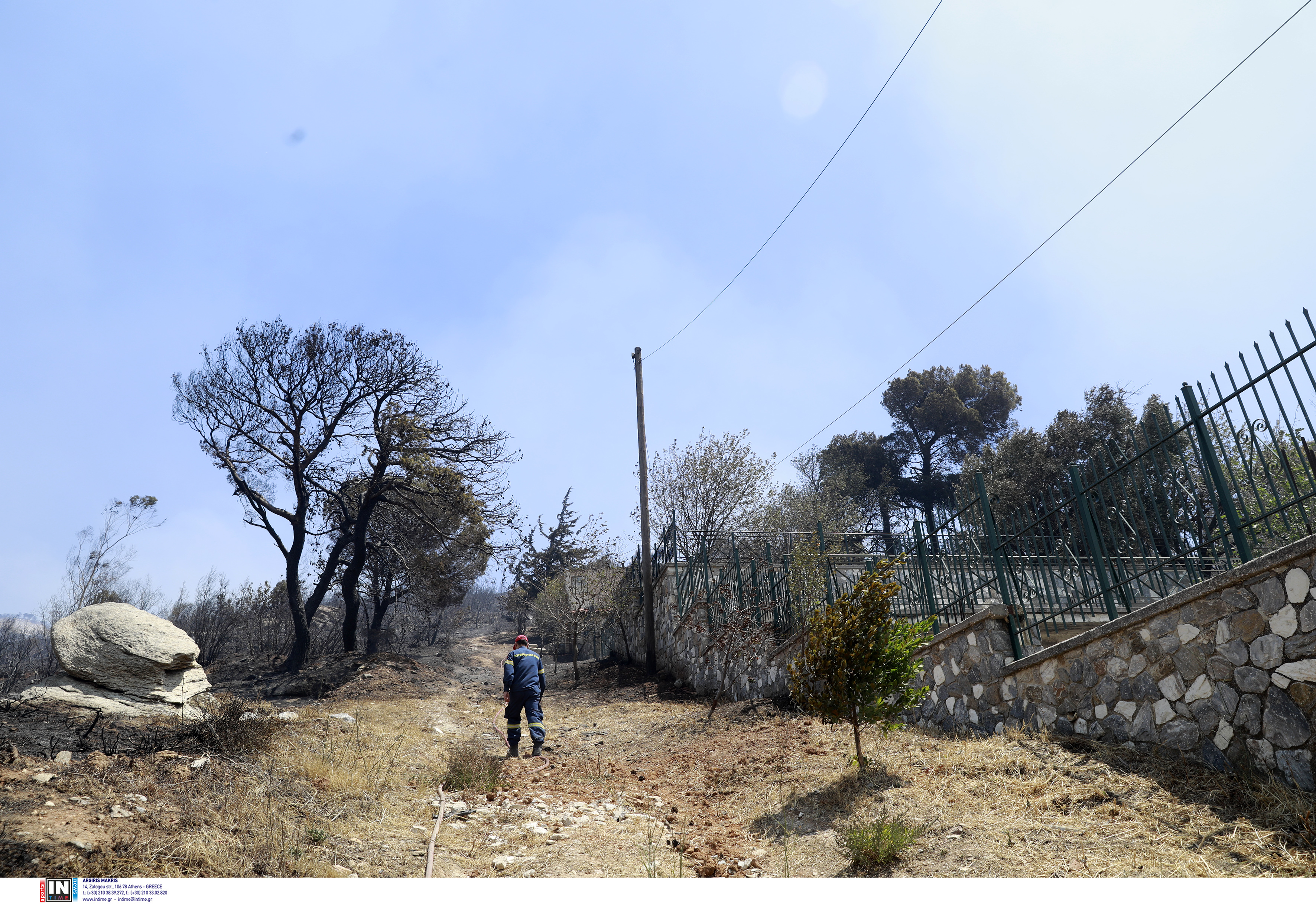fotia_attiki8.jpg fotia_attiki8