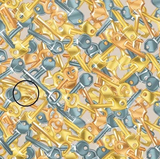 grifos.png grifos