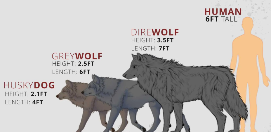 direwolf