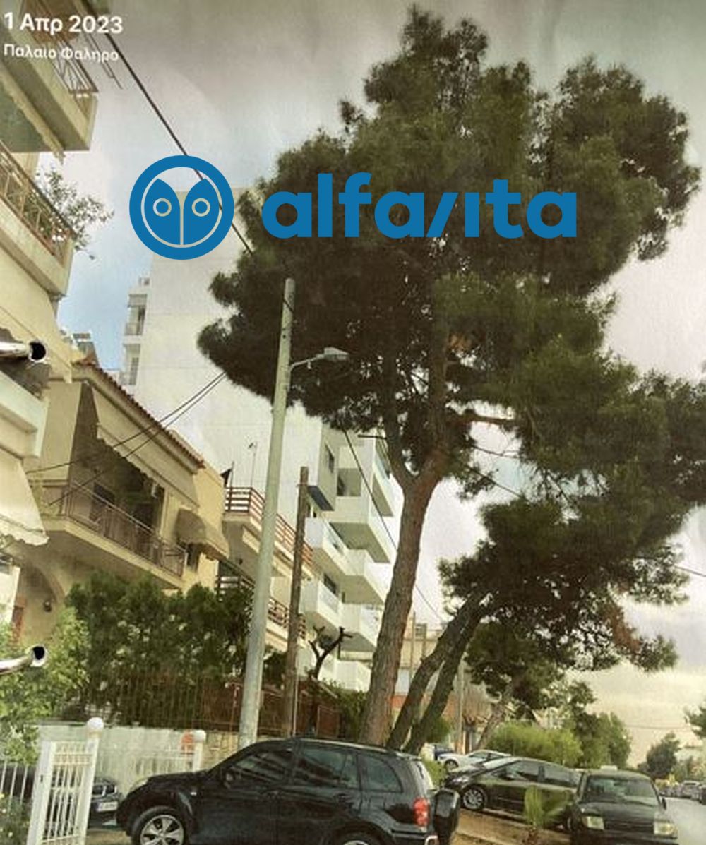 anonymo_shedio_20.jpg δέντρο στη Νέα σμύρνη Γέρνει