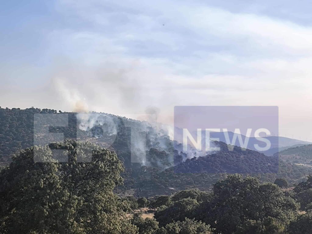 lesvos-fotia.jpg Φωτιά στη Λέσβο