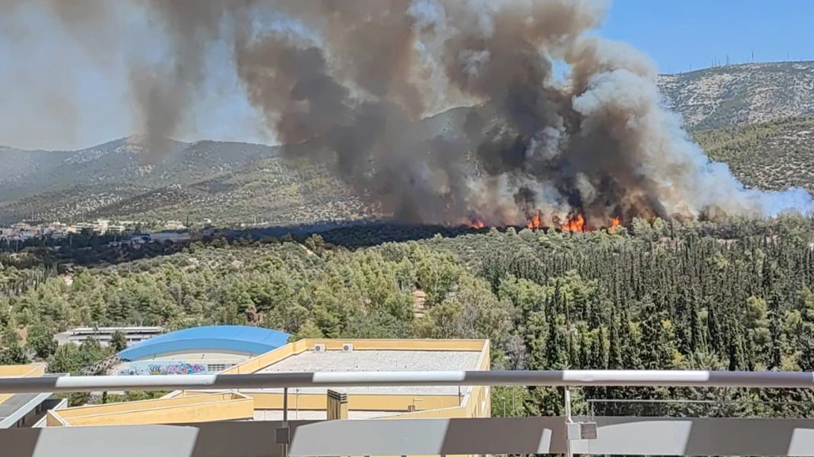 Φωτιά, Ζωγράφου