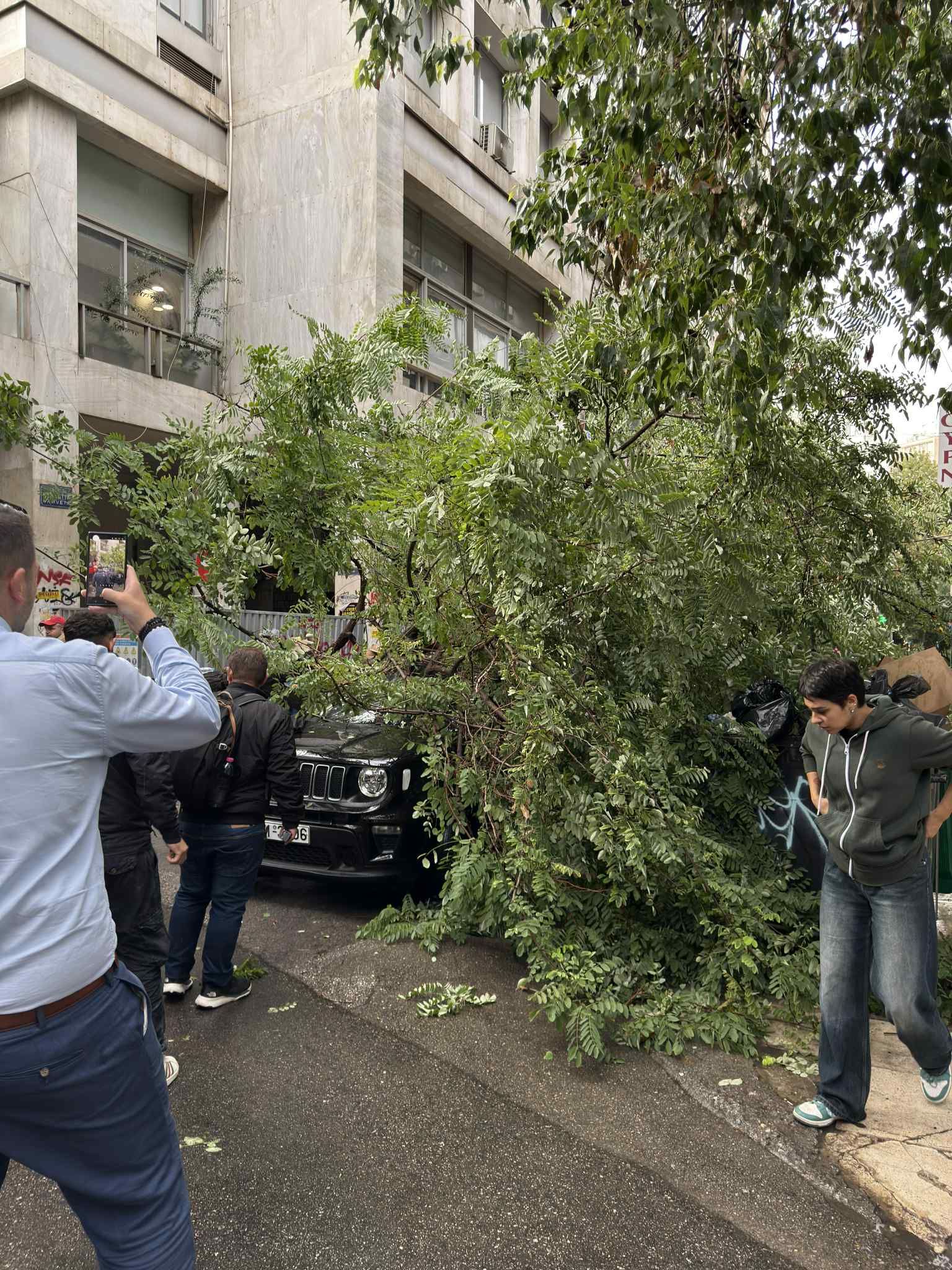 δένδρο