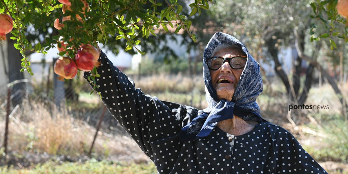 Παρέσσα Ορφανίδου