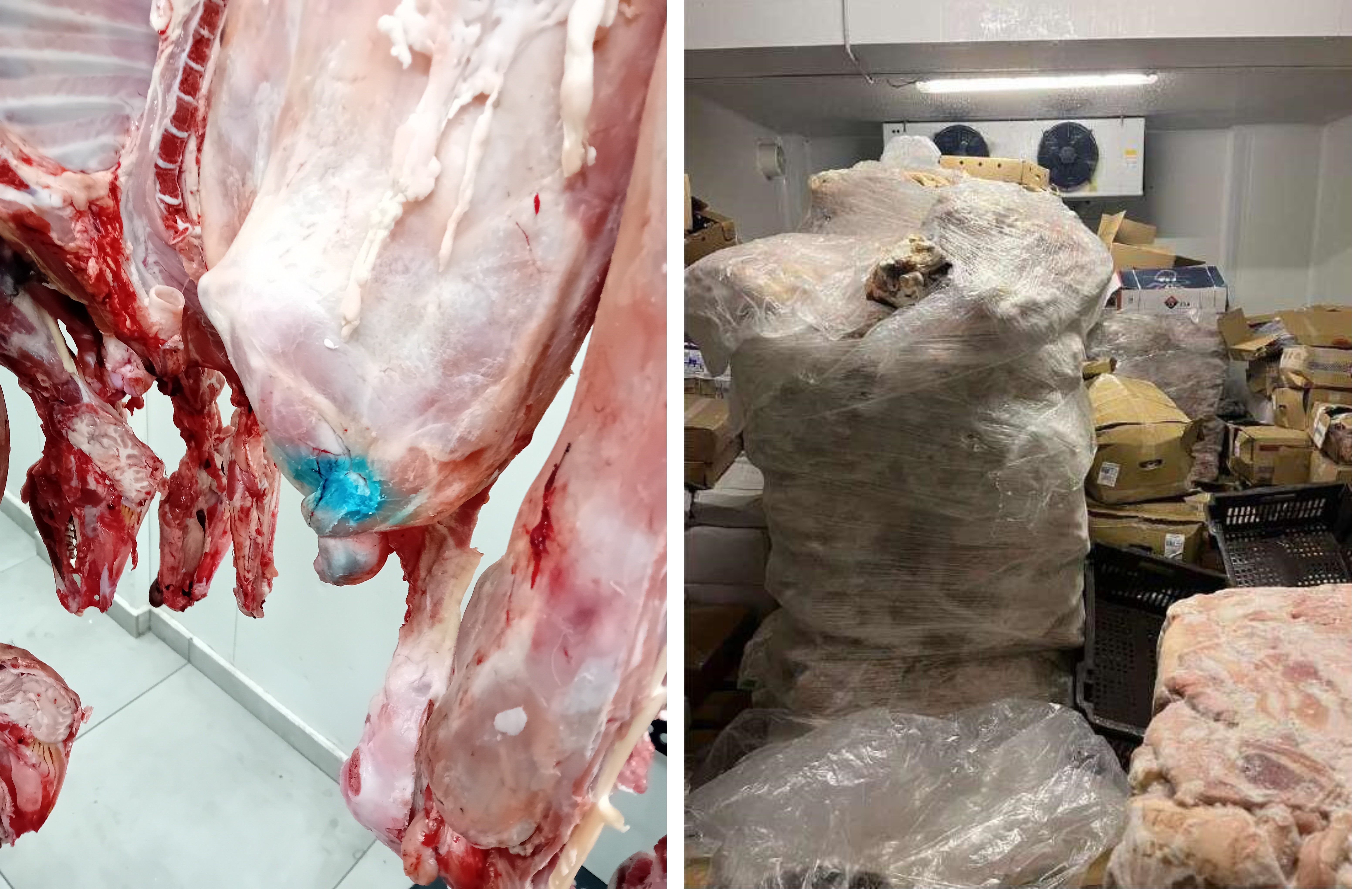 σαπια κρεατα