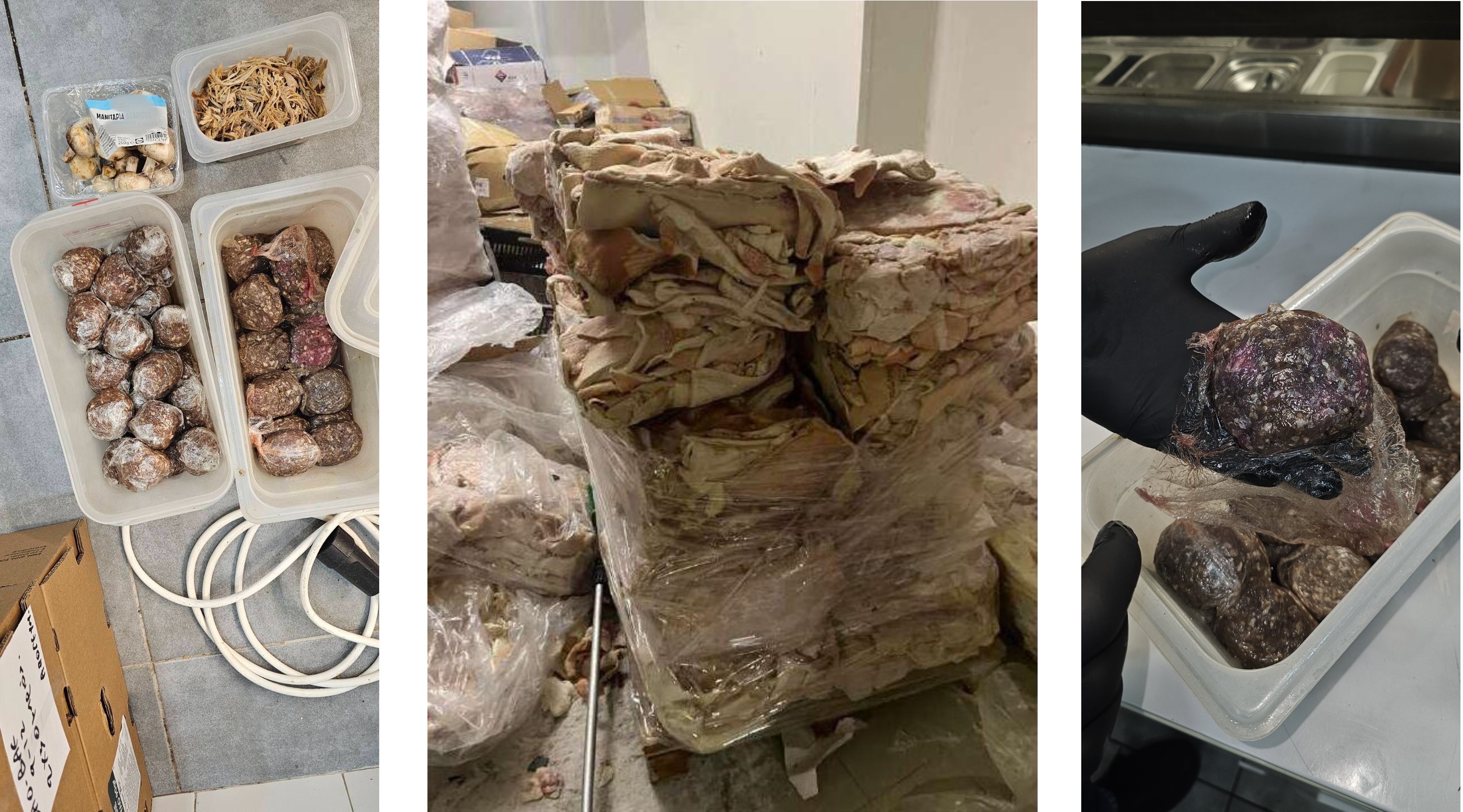 Σάπια κρέατα