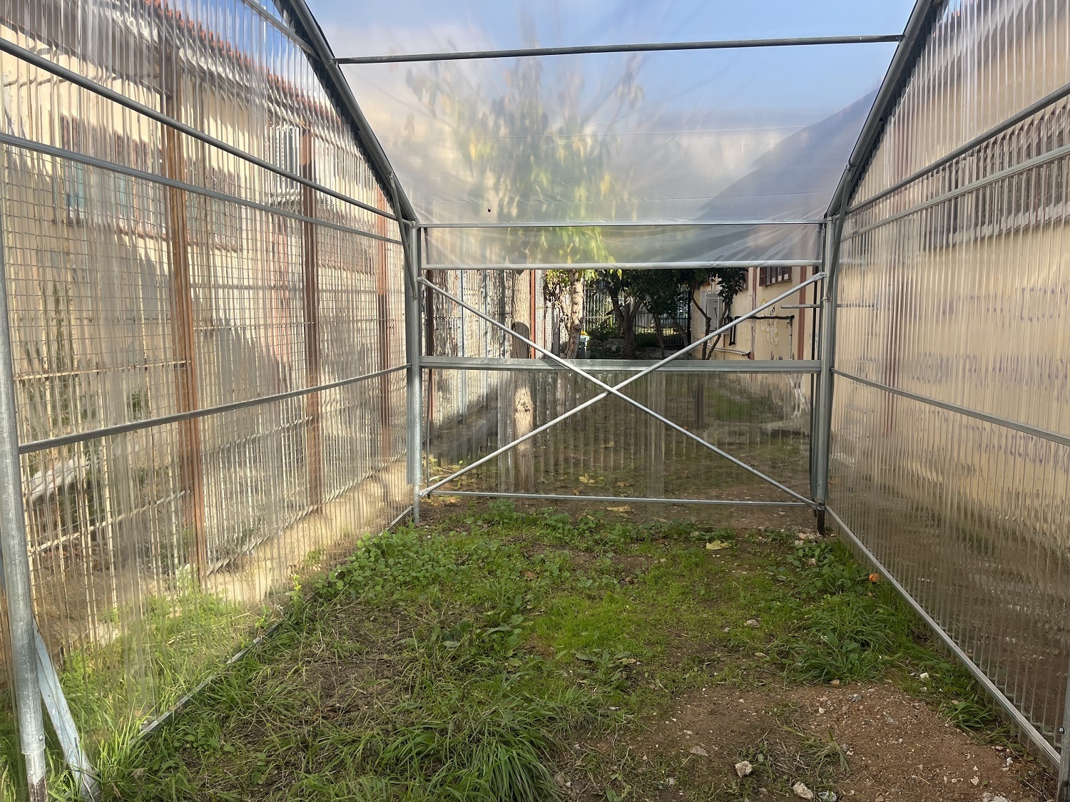 thermokipio-eeeek-kallitheas.jpg Εγκαίνια θερμοκηπίου ΕΕΕΕΚ Καλλιθέας