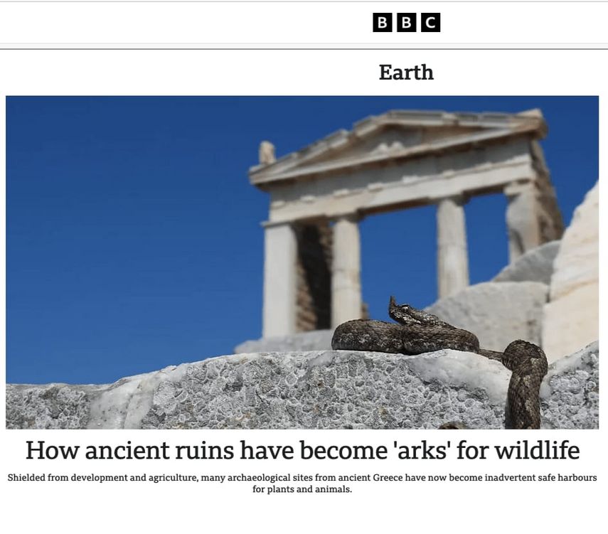 ΑΡΘΡΟ ΣΤΟ BBC ΓΙΑ ΤΟ ΒΙΑΣ