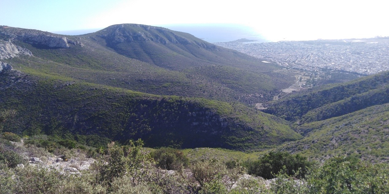 Παράδειγμα έντονης ανάπτυξης υδρογραφικού δικτύου στην Γλυφάδα.