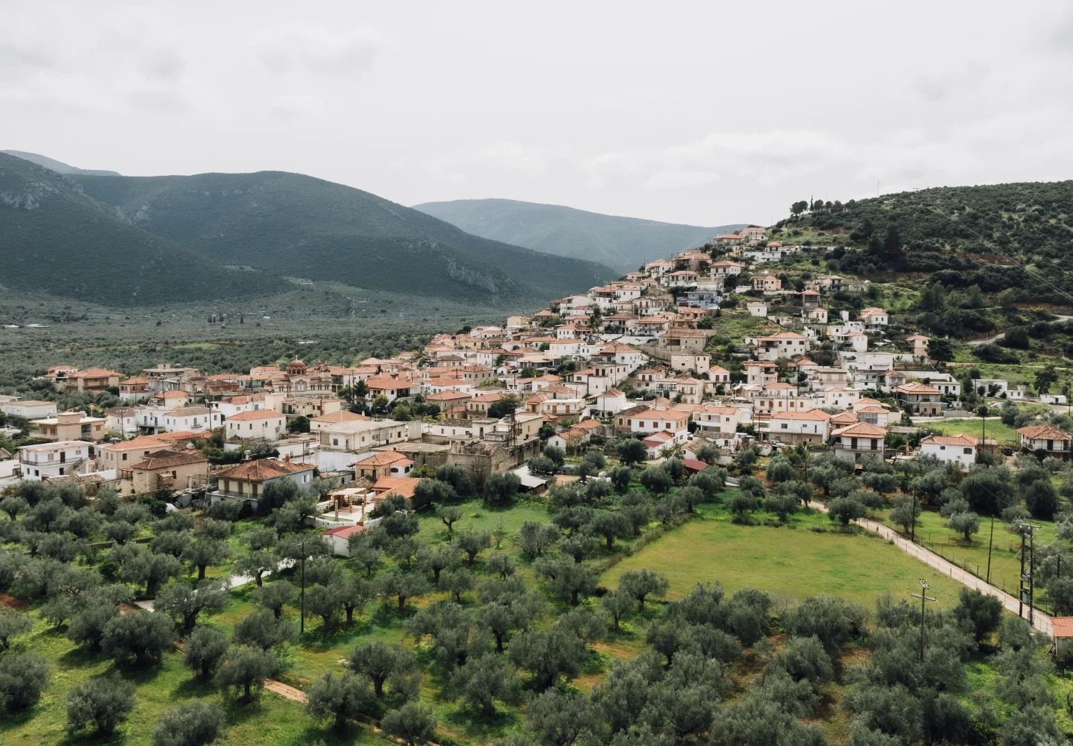 Κορακοβούνι