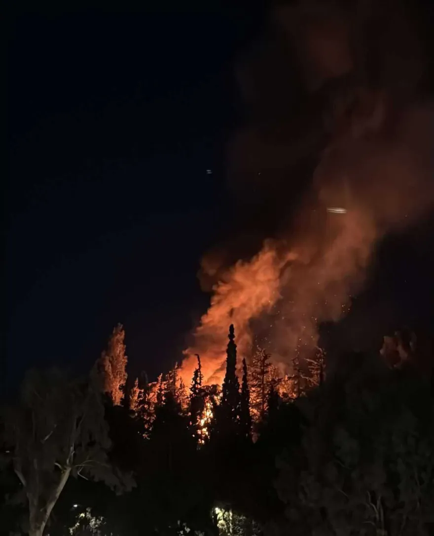 Φωτιά στο άλσος Κυνοσάργους [Πηγή: Πυρκαγιά Ενημερώση/Facebook]