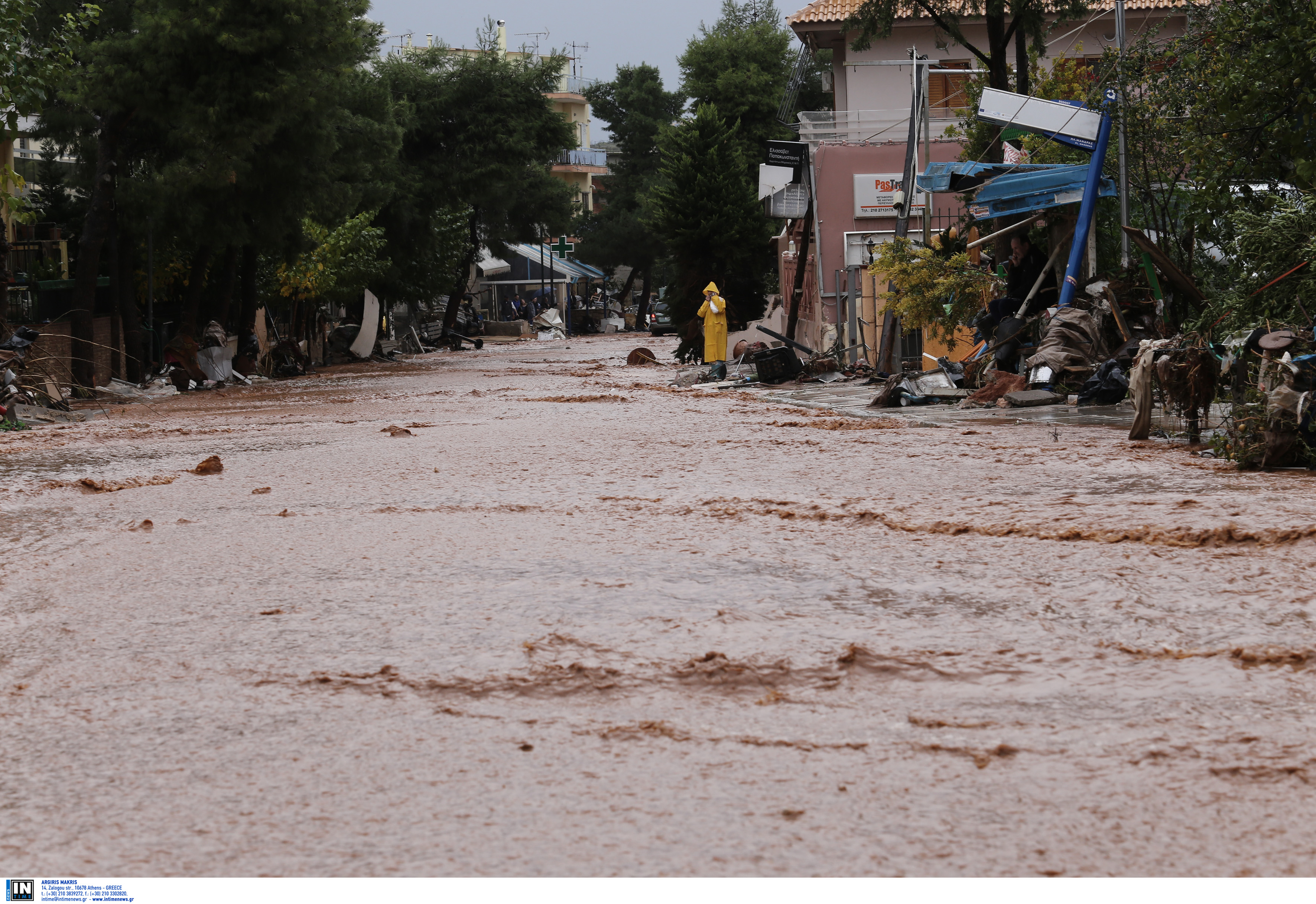 mandra_2.jpg manr=dr