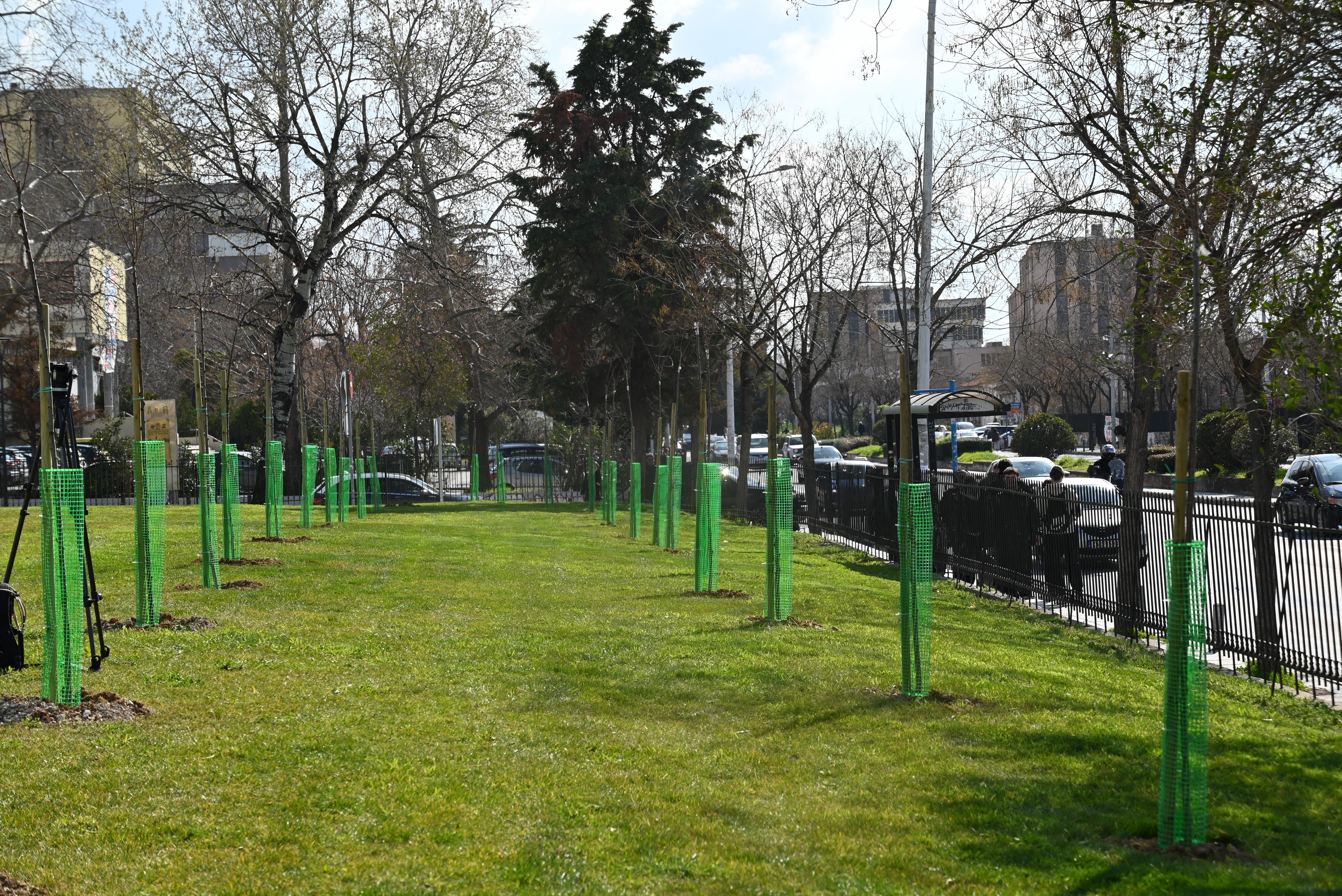 517e5592-dc59-447c-98f7-a1b24533881d.jpeg ΑΠΘ