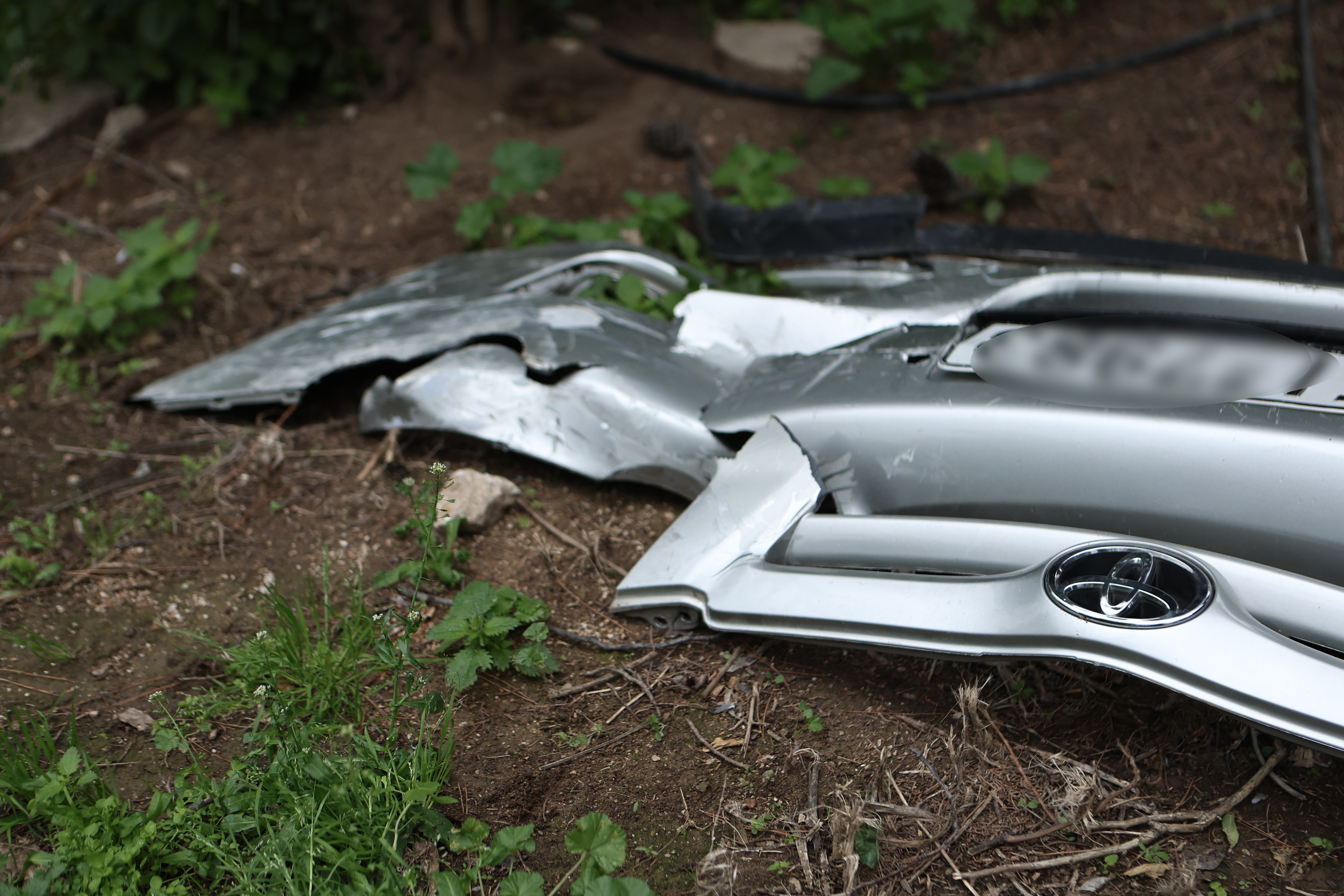 μεθυσμένη τραγουδίστρια