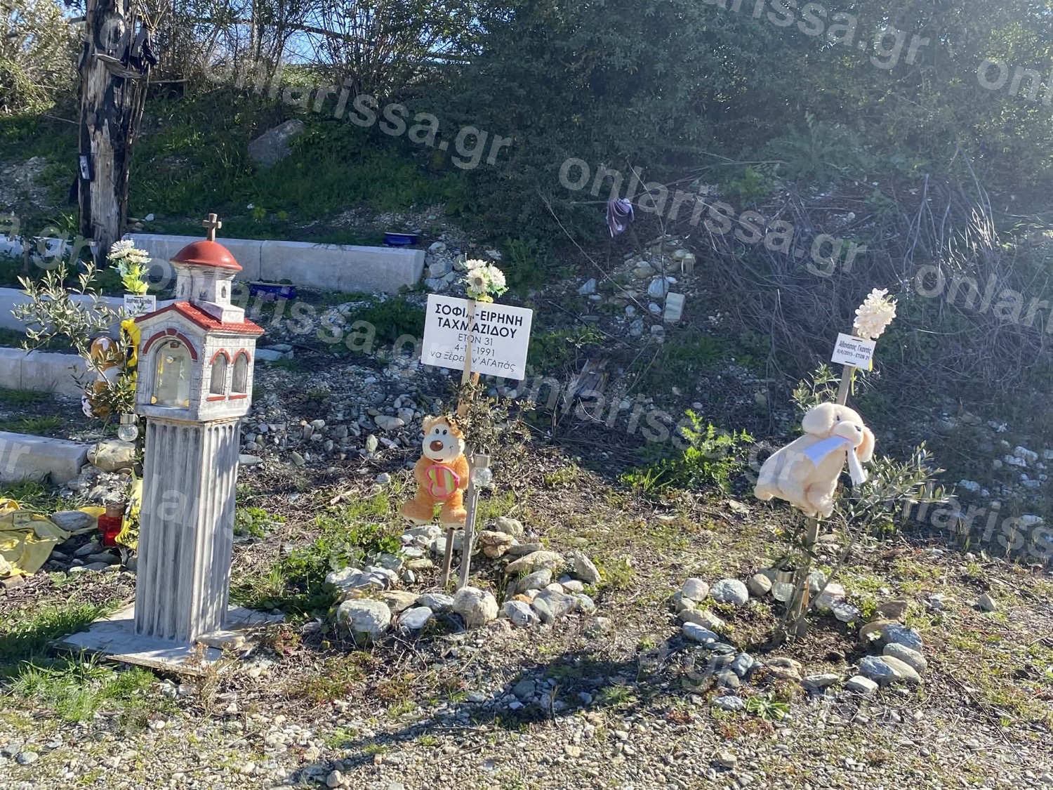 Μαθητές φροντίζουν δενδρύλλια στα Τέμπη