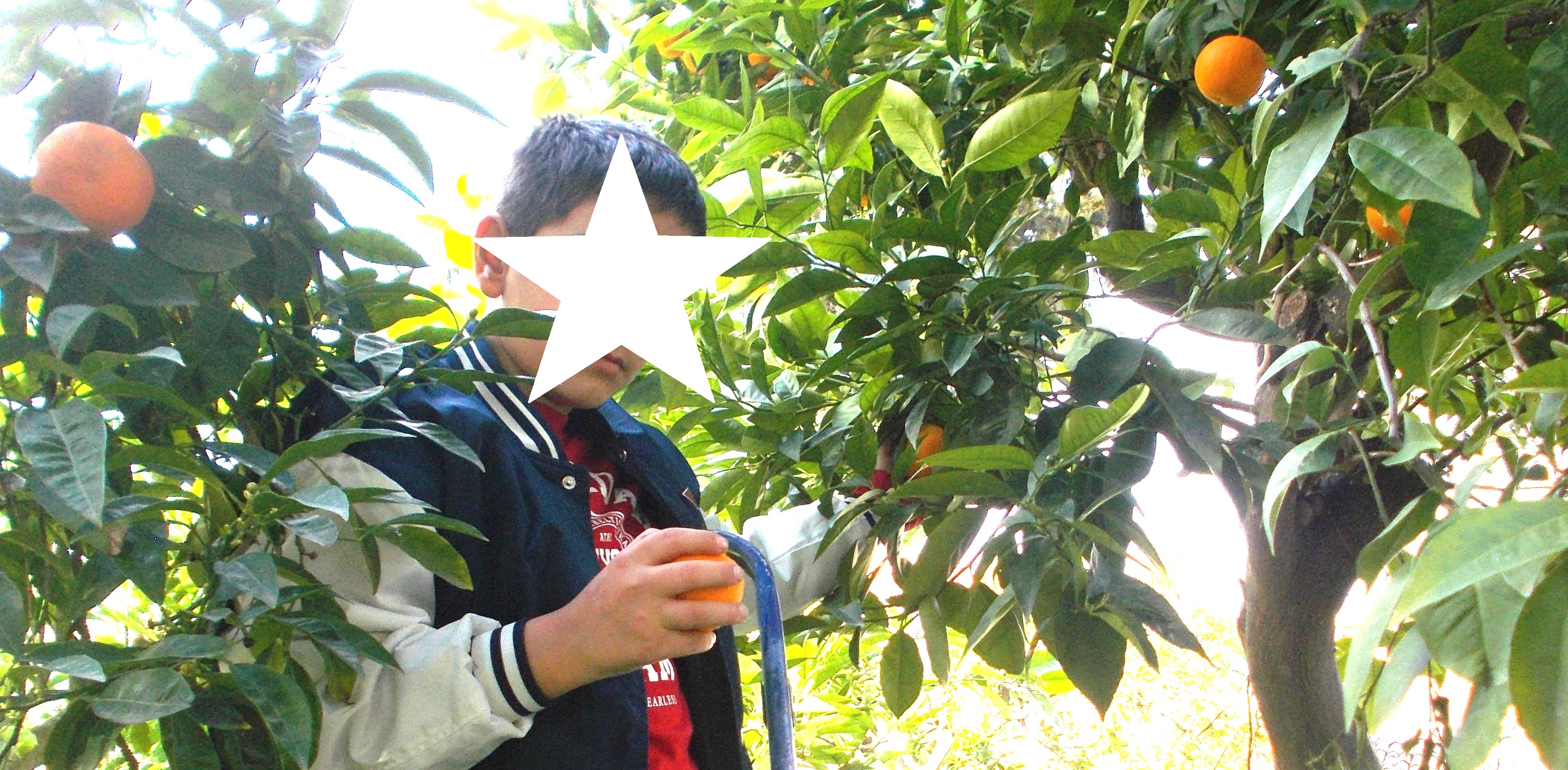 dscn5178.jpg ΔΗΜΟΤΙΚΟ ΣΧΟΛΕΙΟ ΛΟΥΤΡΟΠΟΛΗΣ ΘΕΡΜΗΣ