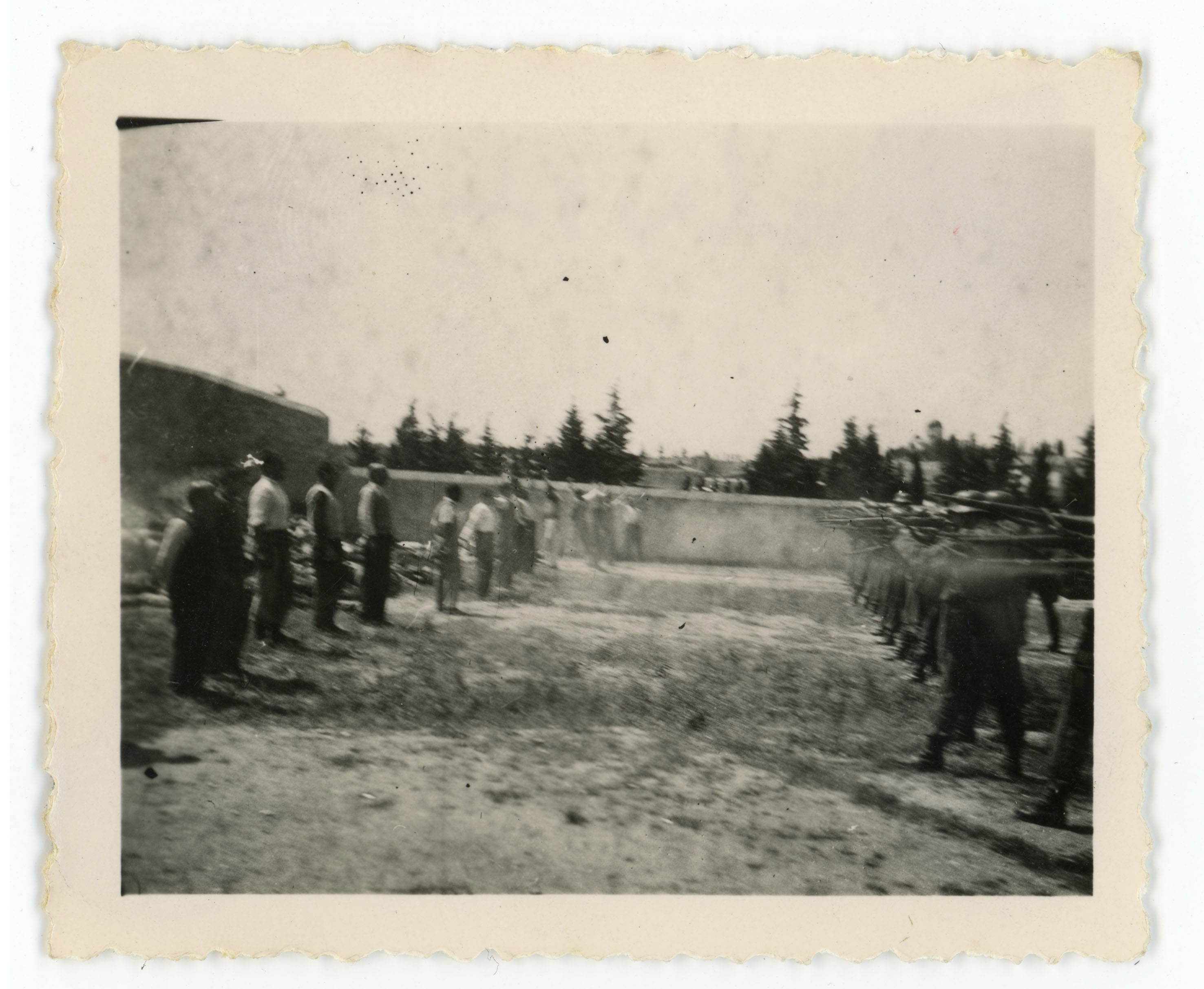 συλλογή Χόιερ