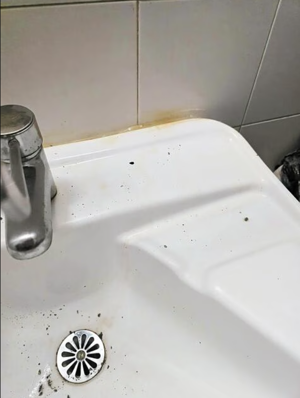 Περιττώματα από τρωκτικά πάνω σε νιπτήρες