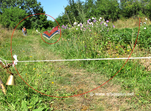 vrapca-5554.jpg vrapca-5554.jpg