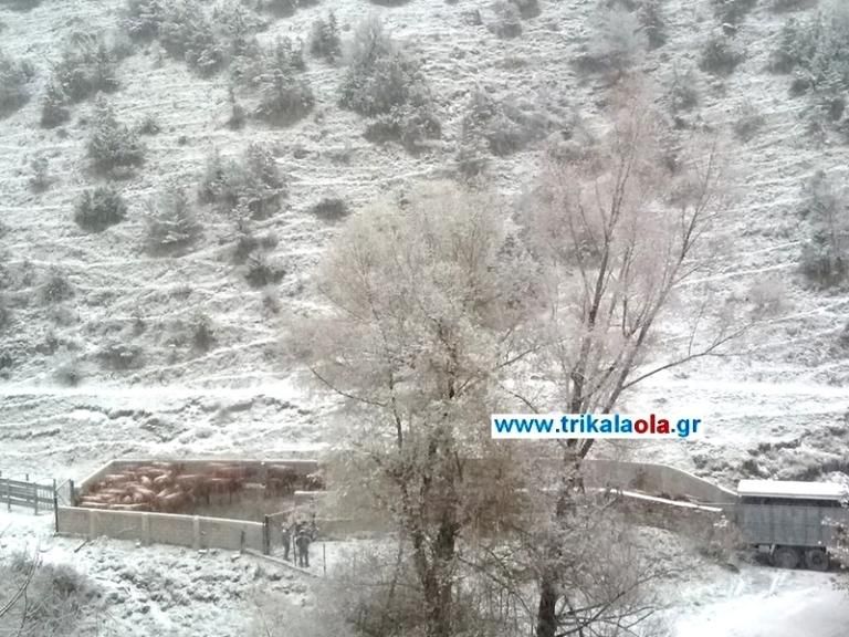 trikala2.jpg Χιόνια στα Τρίκαλα