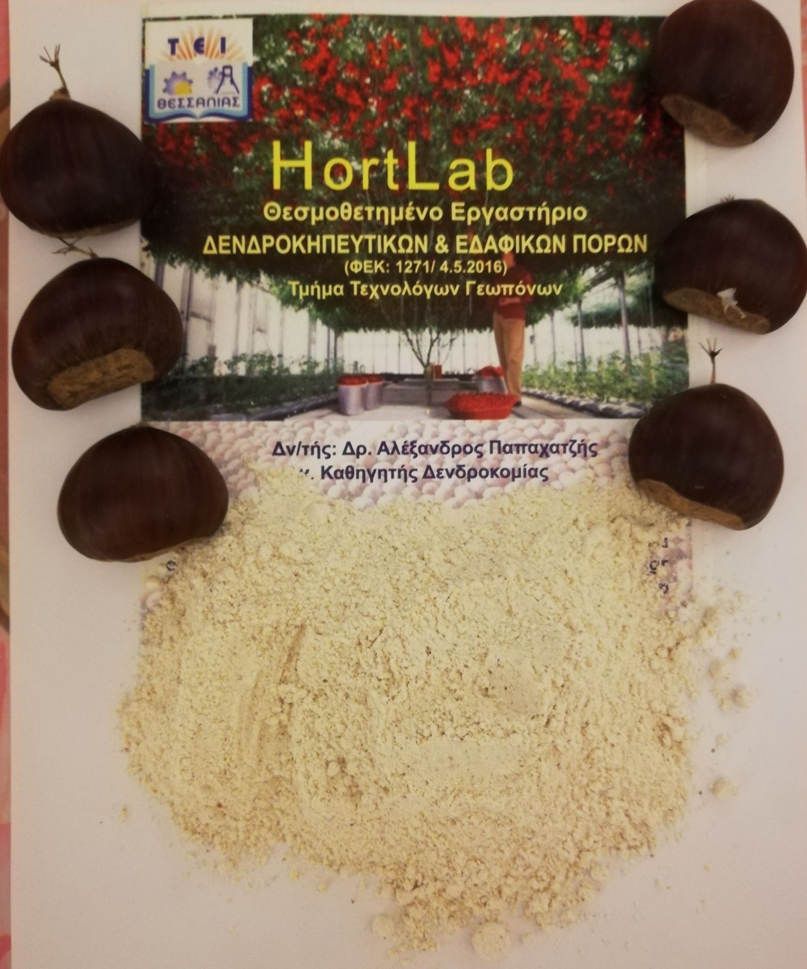 12-12-2018-kastana-psomi.jpg 12-12-2018-kastana-psomi.jpg
