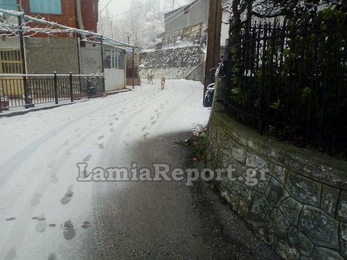 lamia-xioni.jpg Χιόνι στη Λαμία