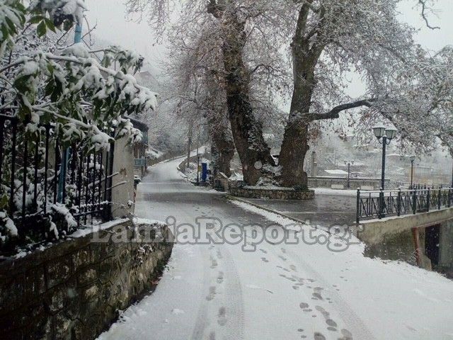 lamia-xionia2.jpg Χιόνι στη Λαμία