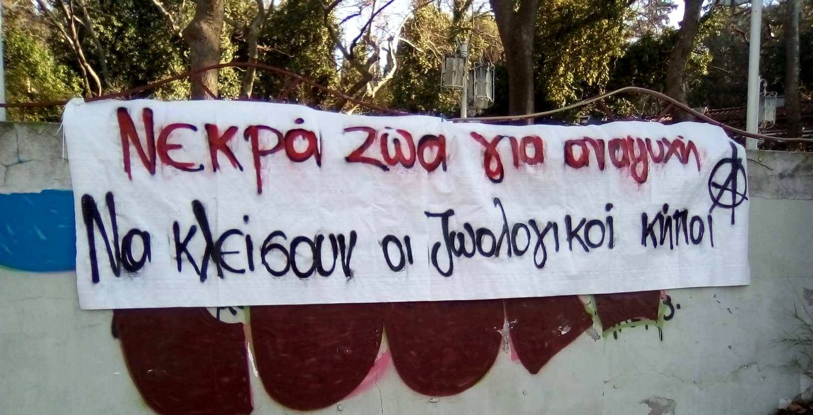 Παρέμβαση κατά του εγκλεισμού ζώων