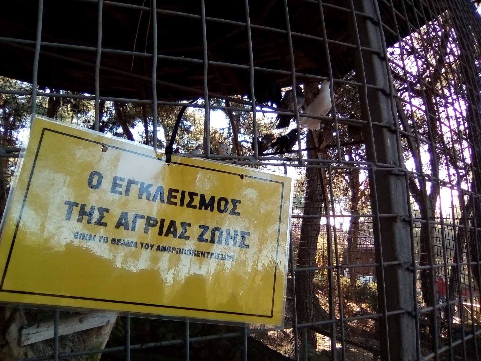 paremvash5.jpg Παρέμβαση κατά του εγκλεισμού ζώων
