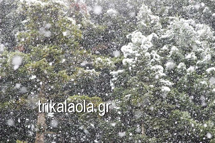 trikala1.jpg Τρίκαλα