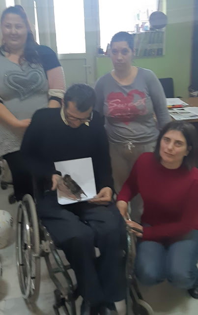 20190220_142748.jpg Κέντρο Αναπήρων γατάκι