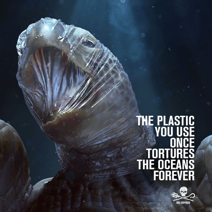 Πλαστικά στη θάλασσα 
