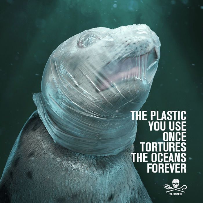 plastiko2.jpg Πλαστικό στη θάλασσα