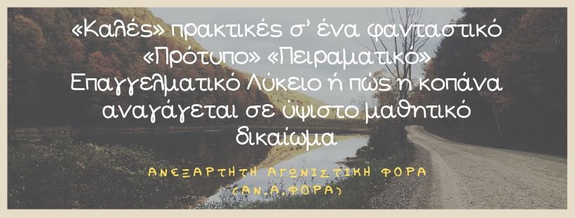 119.jpg 119.jpg