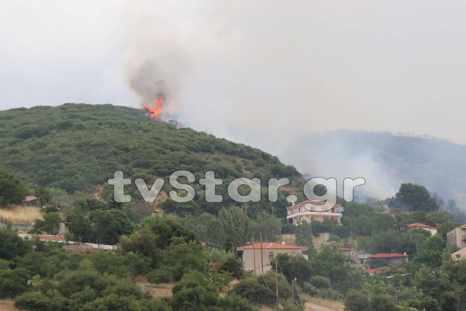 fotia_dibri.jpg 2