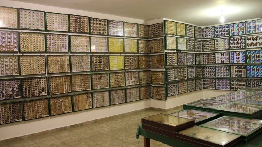 entomologiko_moyseio_boloy.jpg Εντομολογικό Μουσείο Βόλου