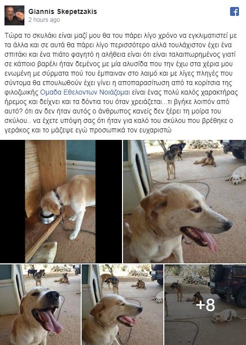 filozwos2.jpg Ανάρτηση φιλόζωου